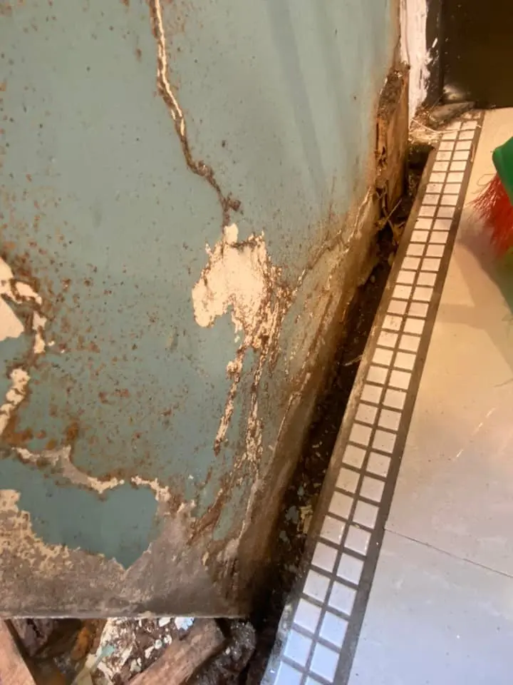 抓漏防水除白蟻輕裝修 施工照片 01